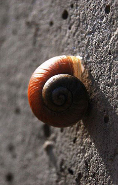 Első lépés Első lépés