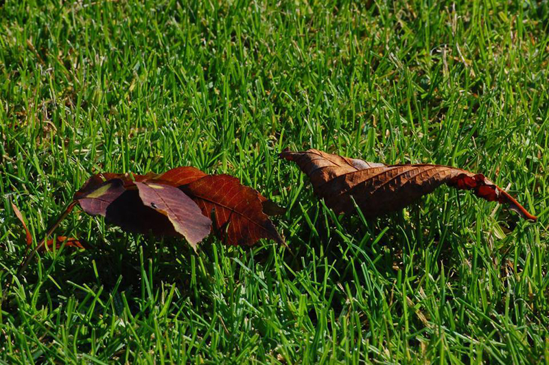 Rejtve marad Rejtve marad