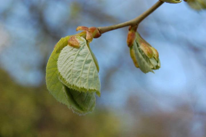 Megújulás-átalakulás
