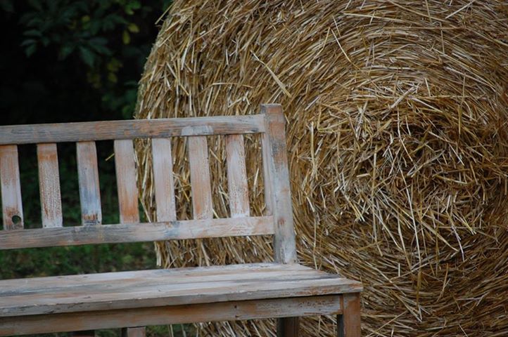 Nyári szabadság Nyári szabadság