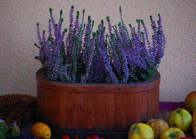 Test-üzenet Test-üzenet