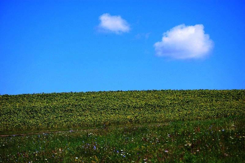 Törekvés Törekvés