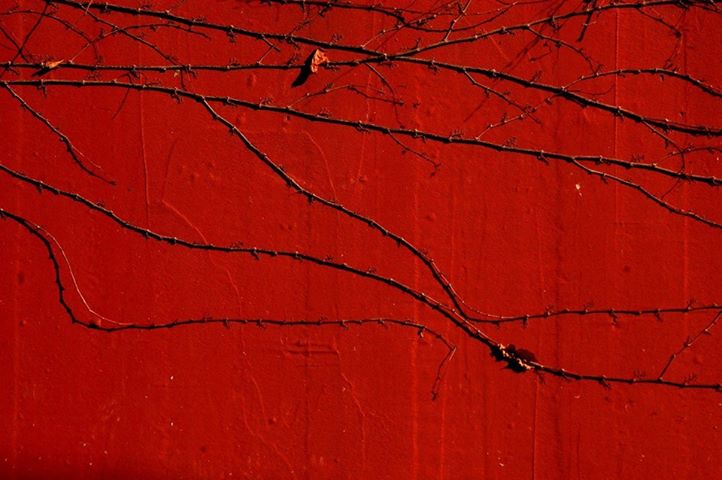 Vörös posztó Vörös posztó